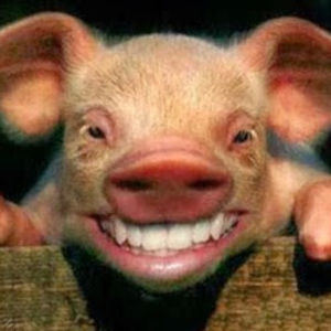 Meet your Posher, William